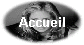 Accueil