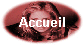 Accueil