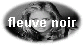 fleuve noir