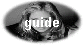 guide